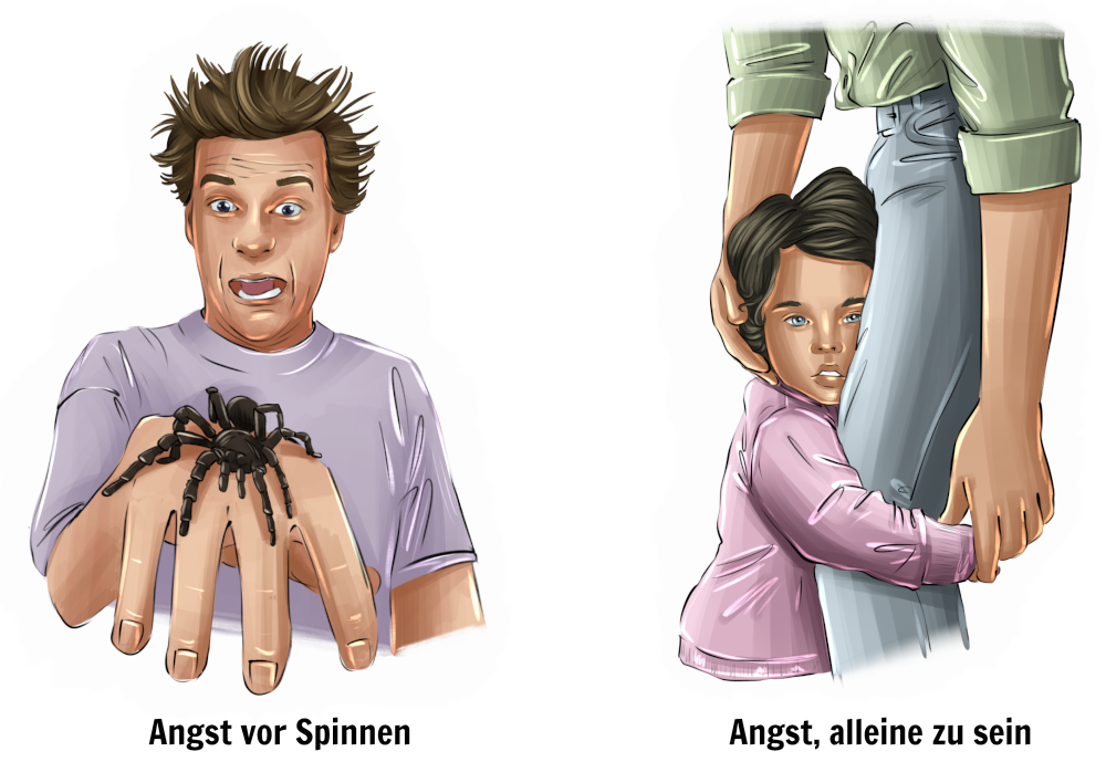 Beispiele für Wahrnehmungsfilter – Angst vor Spinnen / alleine zu sein